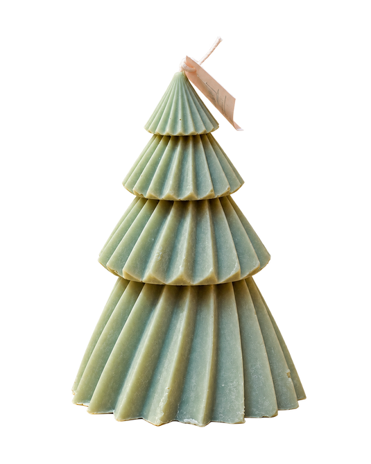 Translation missing: fr.Sapin Éclat d’Hiver – Vert sauge – fond transparent