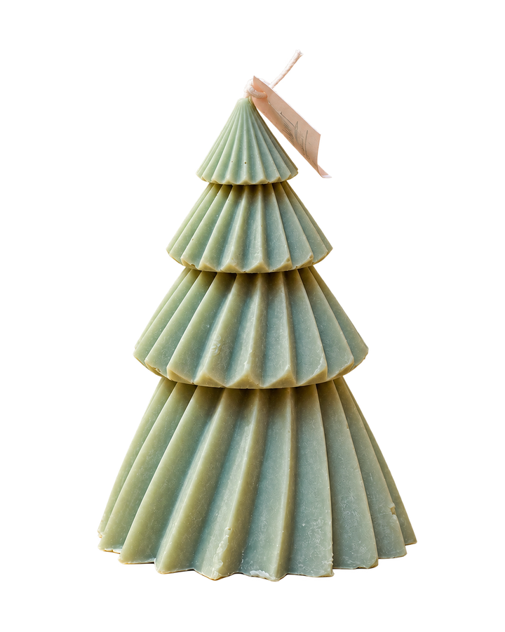 Translation missing: fr.Sapin Éclat d’Hiver – Vert sauge – fond transparent